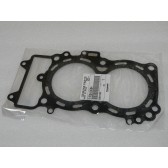 GASKET-HEAD
